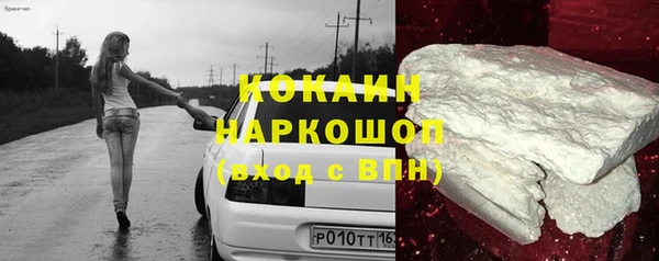 сатива Каменка