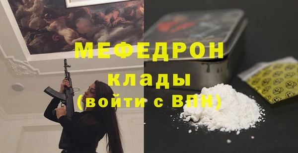сатива Каменка