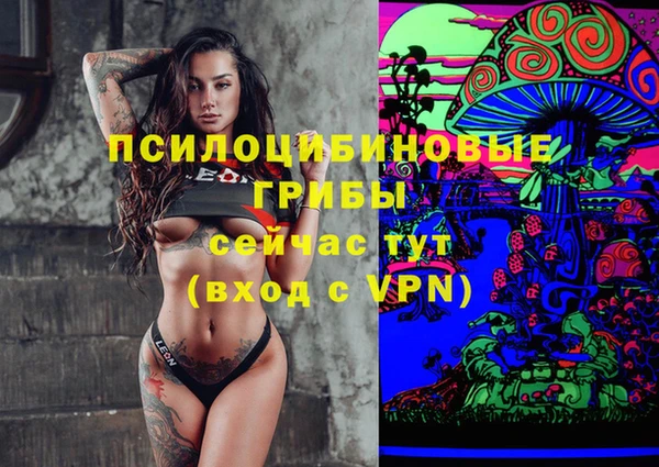 мет Каменск-Шахтинский