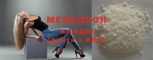 сатива Каменка