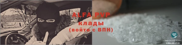 сатива Каменка