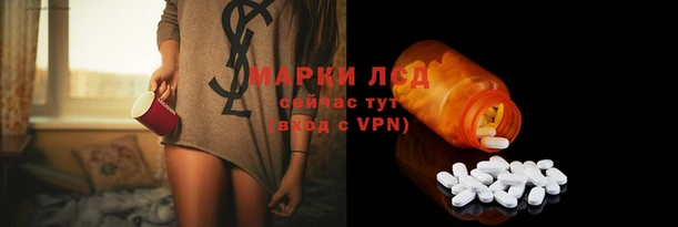 сатива Каменка
