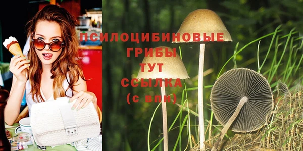 сатива Каменка