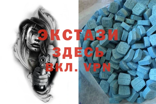 сатива Каменка