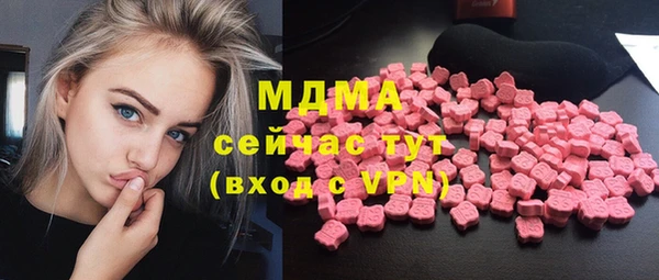 сатива Каменка