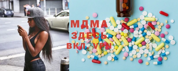 сатива Каменка
