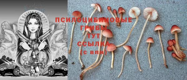героин Каменногорск